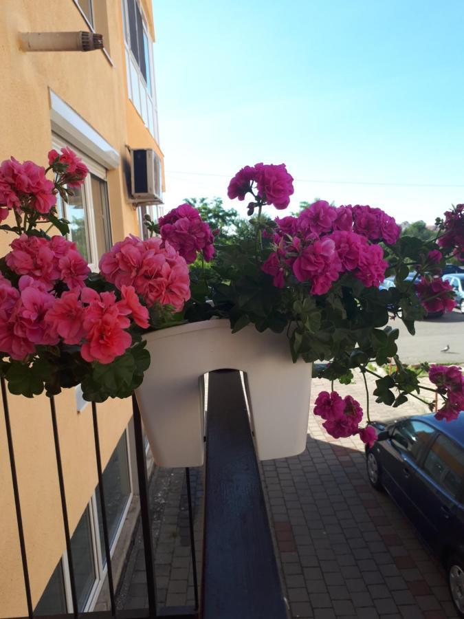 Angel Apartament Σίμπιου Εξωτερικό φωτογραφία